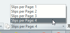 Slips per Page Status Bar Pane