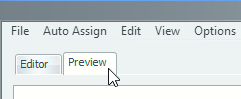 Assignments Editor - Preview Tab