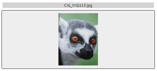 Image Orientation — Preview in Browser