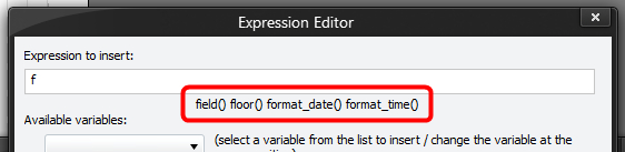 Expression Editor - Function Hint